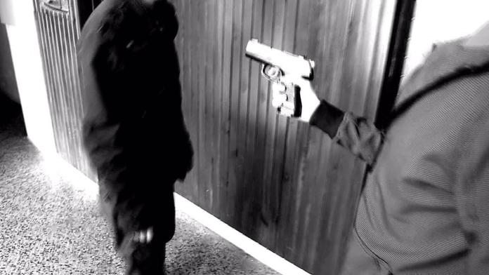 Střelba v Brně: Policie obvinila muže, který pálil před školou
