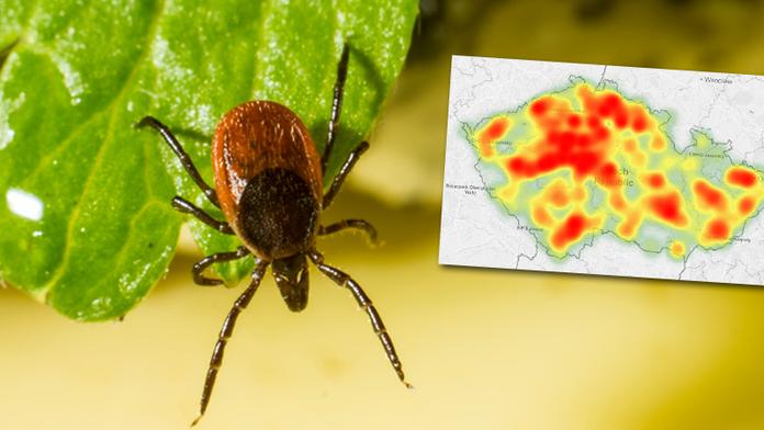 Aktivita klíšťat na vrcholu, chraňte se! MAPA, kde vás ohrožují nejvíc