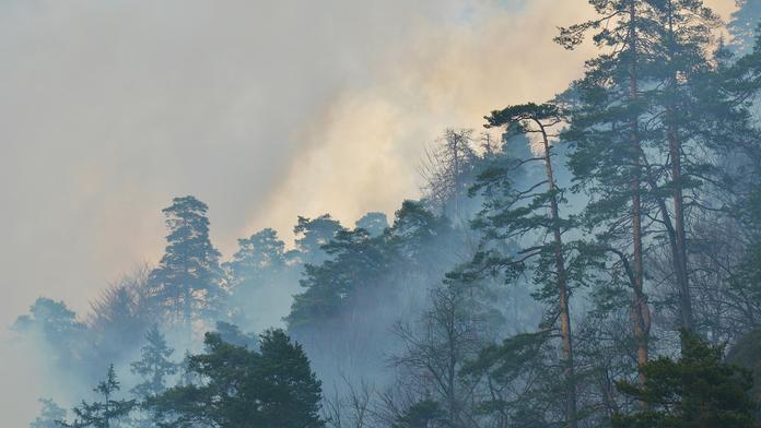 POŽÁR ve Velké Fatře: Hasiči bojují marně už TŘETÍ DEN!