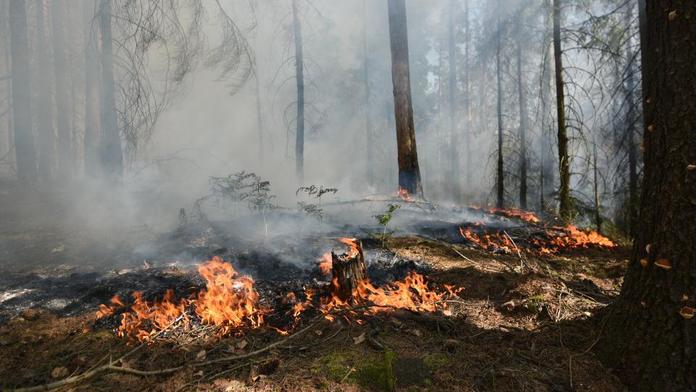 České Švýcarsko v plamenech! Hoří národní park, platí 2. stupeň poplachu