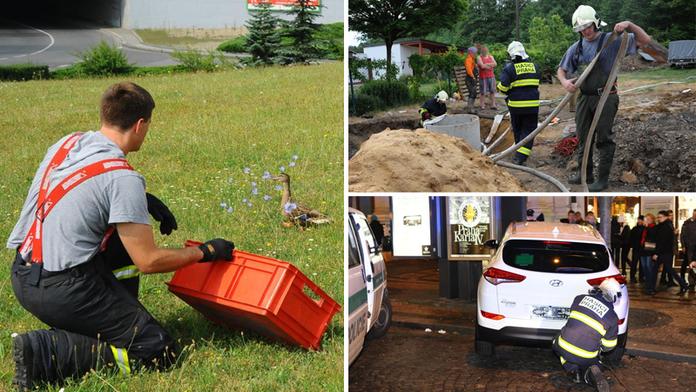 Hasičské kuriozity: Tekutý písek, kachňata i dítě uvízlé v domečku