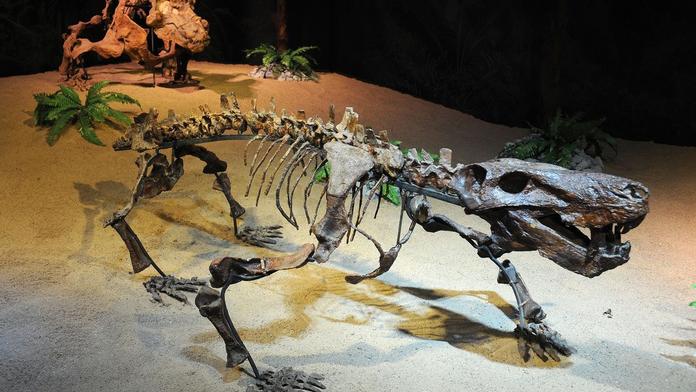 Asteroid, který vyhubil dinosaury. Studie nás připraví na budoucnost