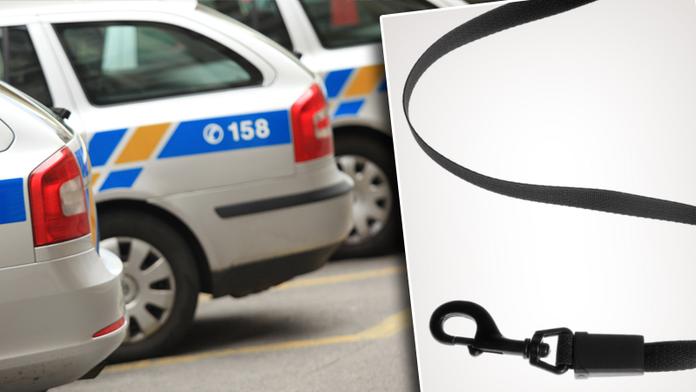 Opilec se snažil oběsit na vodítku, pak se sápal po policistech