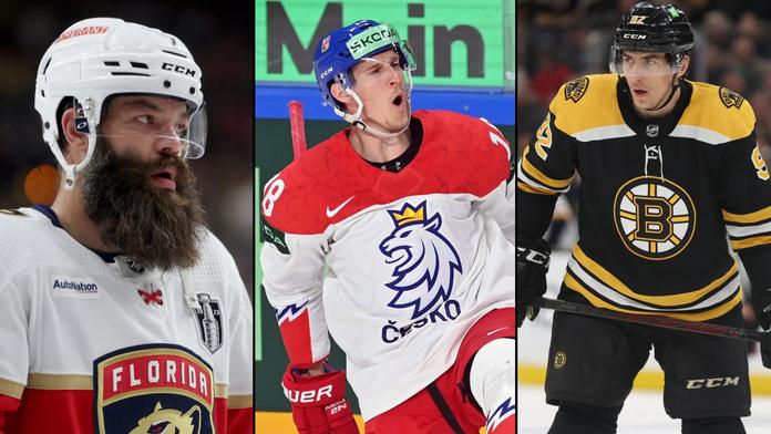 Češi v NHL měnili dresy: Lukrativní podpisy i vynucené změny