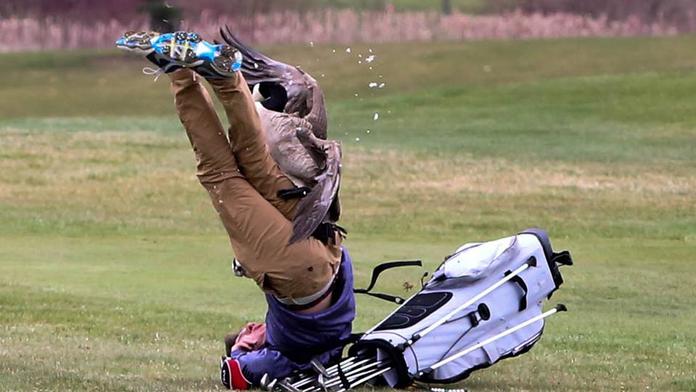 Fotografie, která boří internet! Golfistu sestřelila divoká husa