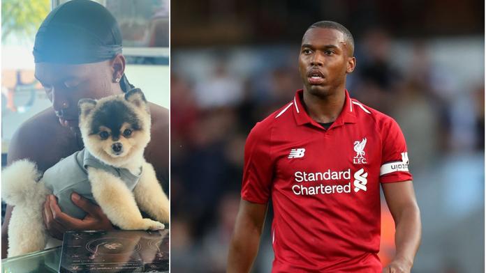 Sturridge řeší na dovolené nepříjemnost! Ukradli mu milovaného psa