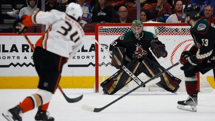 Oba čeští gólmani opět nastoupili za Arizonu. Coyotes schytali debakl