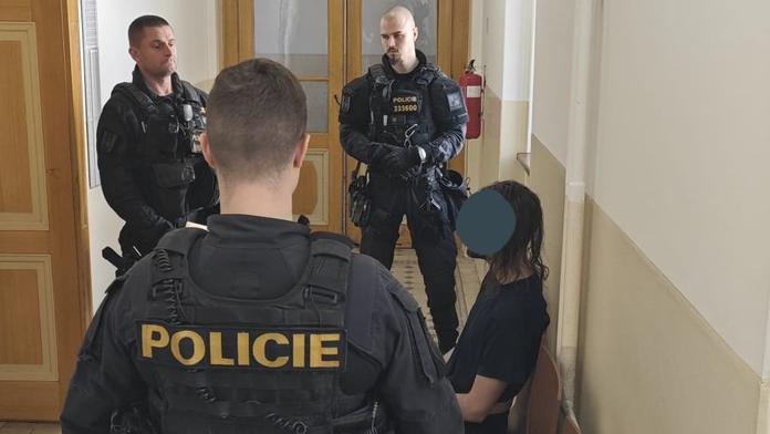 Podezřelý z vraždy u soudu