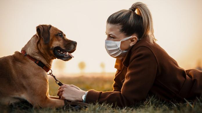 Vědci odhalili nový koronavirus. Lidé se jím zřejmě nakazili od psů