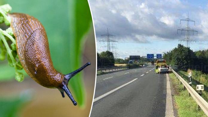 Trabant se převrátil na dálnici. Za nehodu mohli slimáci!