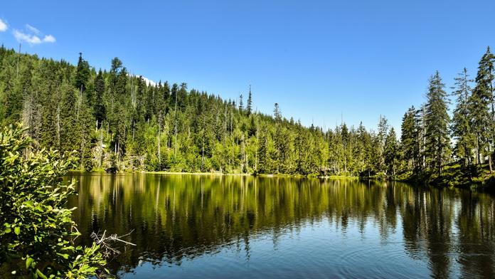 Kdysi mrtvé jezero žije! Našli i tvora napůl rostlinu, napůl živočicha!