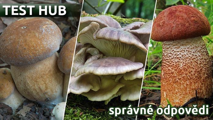 TEST hub - 3. kolo: Správné odpovědi