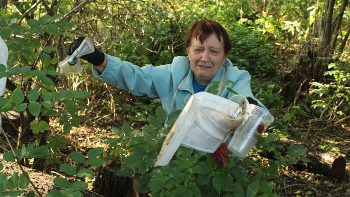 Dejte přírodě vánoční dárek, tohle jí udělá největší radost