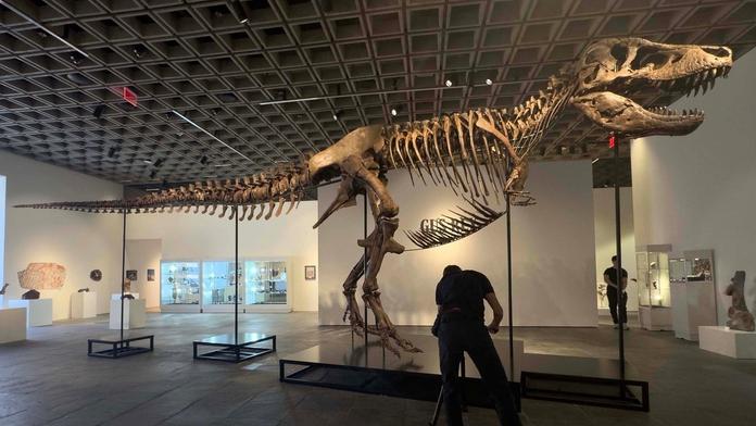 Kostra obřího tyranosaura má nového majitele. Prodala se za bezprecedentní částku