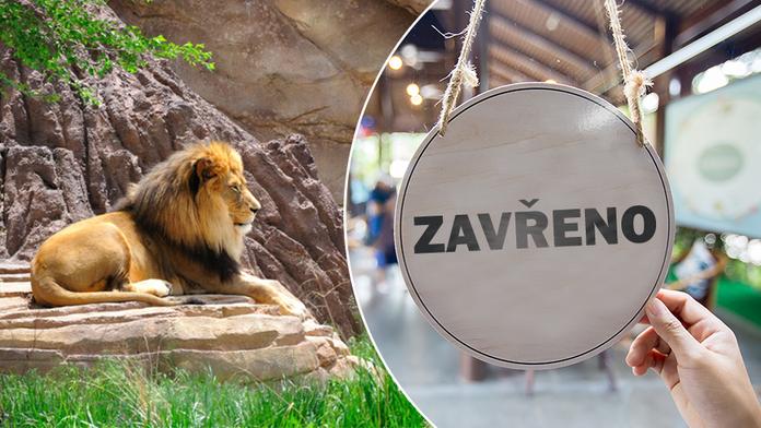 "Tato zvířata bychom museli zabít první," popsala krizový plán ZOO v Německu
