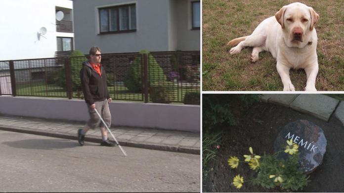 Úřady odmítly nevidomému přispět na nového psa! Prý na něj nemá nárok