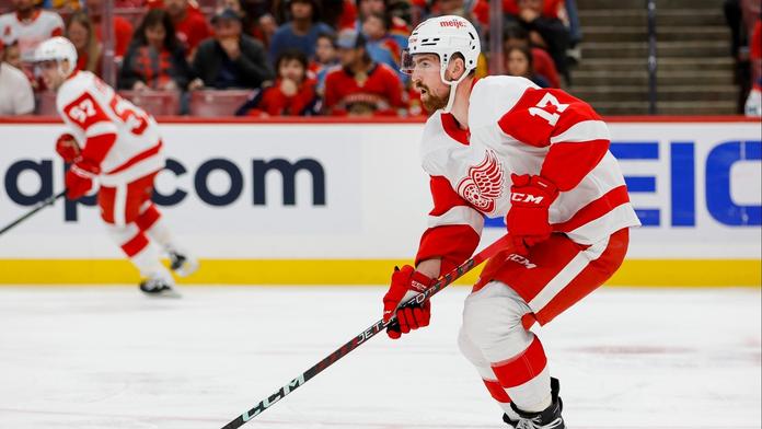 Hronek a Hertl si v NHL připsali asistence, ale na výhru to nestačilo