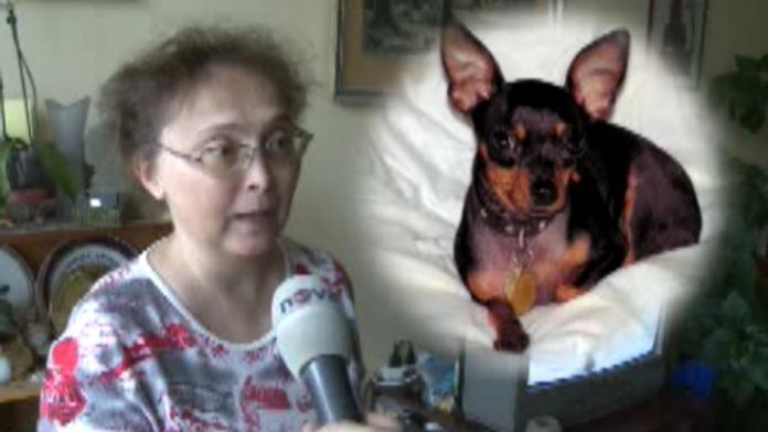 Nemocná paní Mašková: Aisha mi hrozně chybí. Neviděli jste ji?