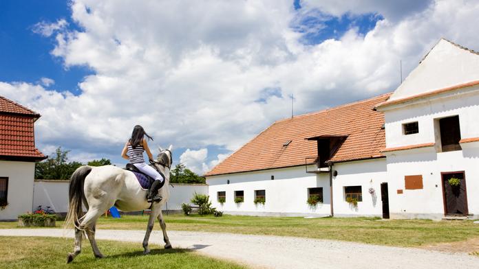 Tři děti se zranily při pádu z koně, letěl pro ně vrtulník