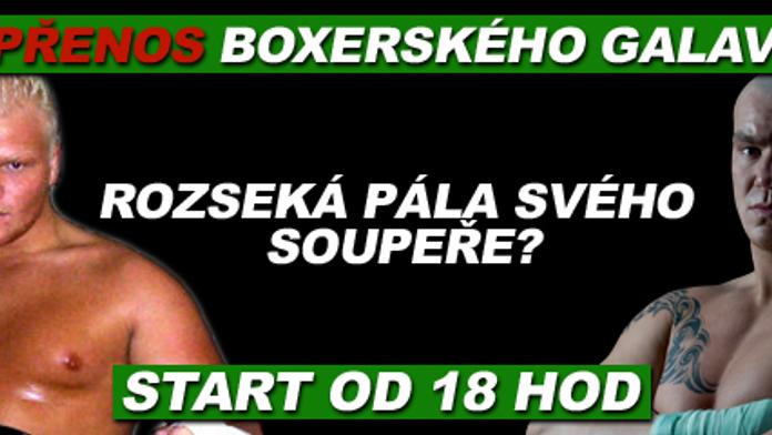Sledujte PŘÍMÝ PŘENOS boxerského galavečera