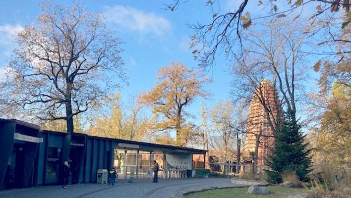 Oblíbená evropská zoo se na dlouho zavírá. Zabíjela tam ptačí chřipka