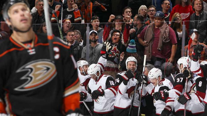Hanzal má už 13 nahrávek a Arizona vyhrála v Anaheimu