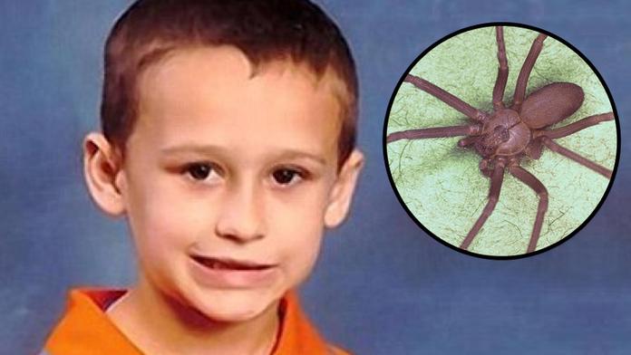Chlapečkovi (5) vlezl do pyžama pavouk a zabil ho! FOTKY UVNITŘ