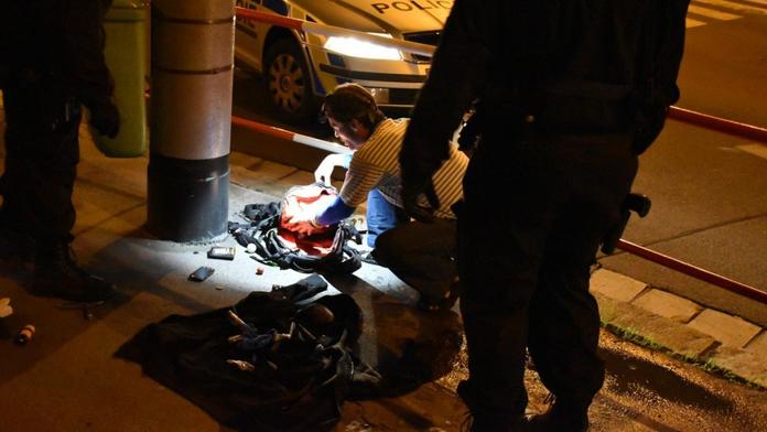 Muž si z větví stavěl ptačí hnízdo, aby na něj policie nemohla