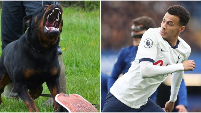 Hvězdy Premier League vyrážejí do boje proti lupičům, pomůžou jim psi
