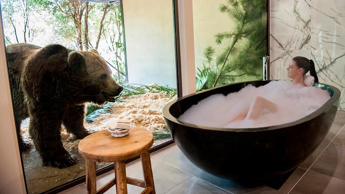 Sníte o bydlení v ZOO? Tady se vám exotické přání splní do detailu