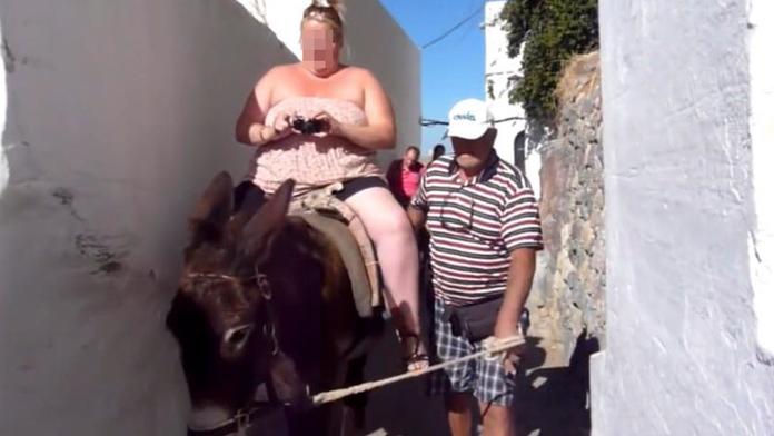 Osli trpěli pod obézními turisty! Řecko zákázalo vozit tlouštíky