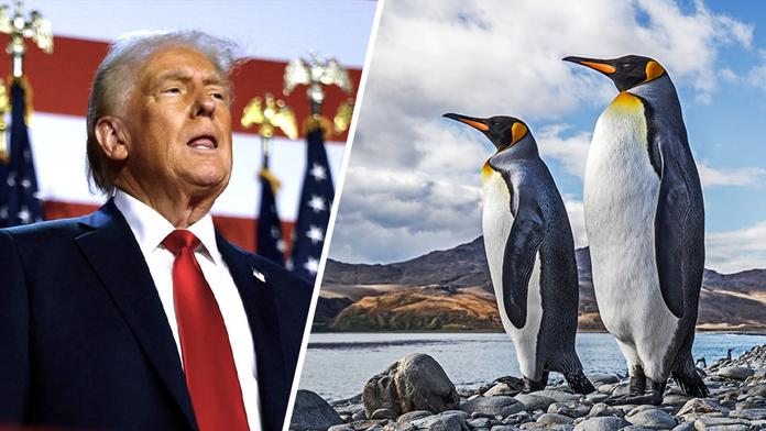 Donald Trump a tučňák patagonský