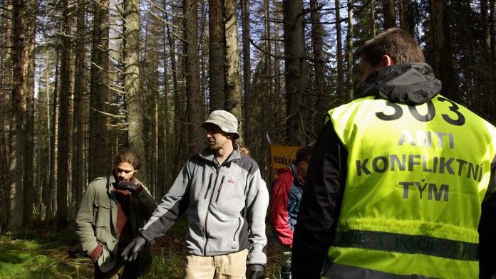 Aktivisté to NEVZDÁVAJÍ! Lezou do korun stromů