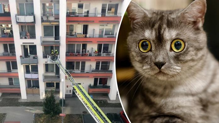 Kočka umírala zaseklá ve větračce. Hasiči ji zachránili po mnoha hodinách