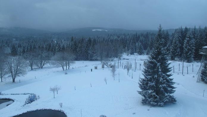 Zima je tady! Celý týden bude sněžit, teploty spadnou i na -11 °C