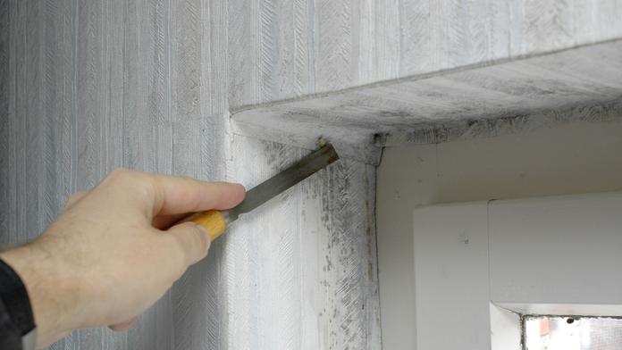 Trápí vás vlhkost a plíseň v domě? Existuje jednoduché řešení