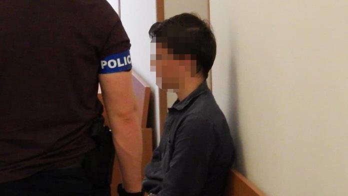 Vražda 18leté dívky u Plzně: Soud rozhodl o vazbě jejího spolužáka