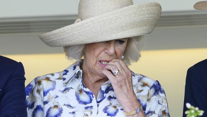 Královna Camilla na dostihových závodech