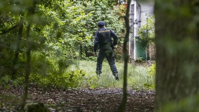 Mladá dívka vzala na procházku synka (1), oba zmizeli! Hledala je policie