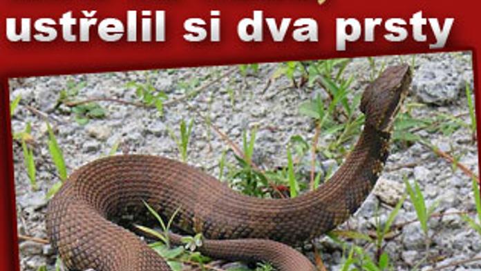 Střílel na hada, prostřelil si ruku