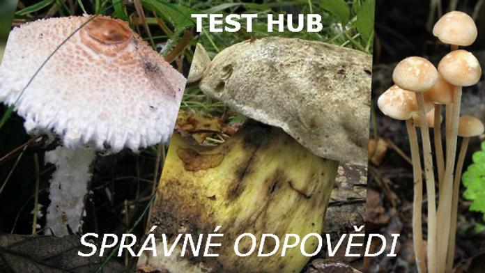 TEST hub - 2. kolo: Správné odpovědi