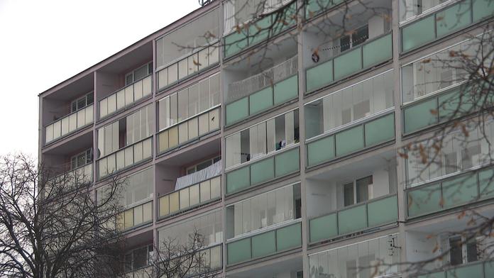Panelák