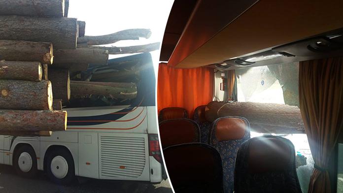 Kláda vlétla do autobusu plného dětí, zarazila se o sedadlo!