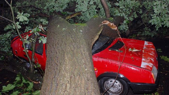 TO JE PECH! Pekařské auto havarovalo. Pak na něj spadl strom