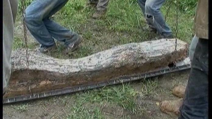 Země vydala poklad, dvoumetrový mamutí kel
