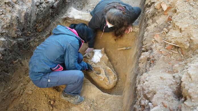 V Brně žil v době ledové nosorožec, archeologové našli jeho pozůstatky
