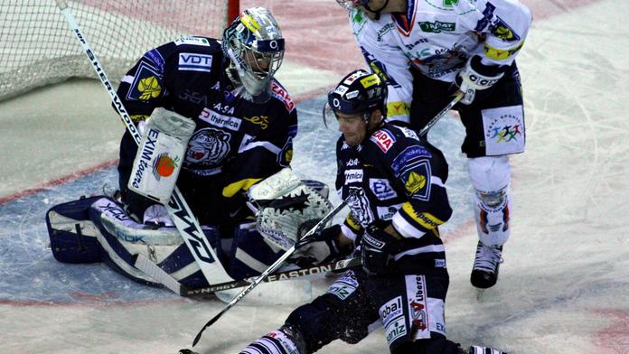 EUROPEAN TROPHY: Výhry Mountfieldu, Sparty, Plzně i Liberce