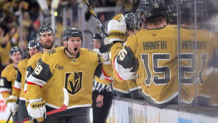 Hertl opět skóroval, ale Vegas prohrálo. Tkachuk po zranění řádil