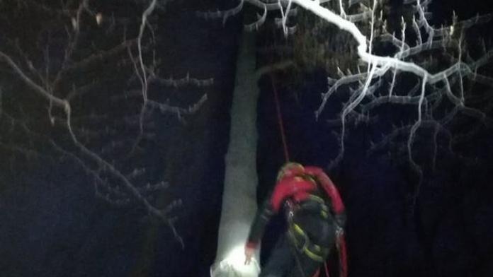 Paraglidista visel na stromě! Silný vítr mu zamotal padák