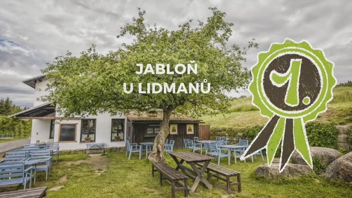 Lidé přispěli na stromy téměř 200 tisíc hlasováním v anketě Strom roku!